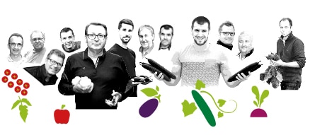 Portraits des producteurs Kultive du Val de Loire, avec des dessins de leur production de concombre, tomate cerise, betterave, poivron et aubergine.