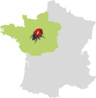 Carte de France situant la zone production Val-de-Loire