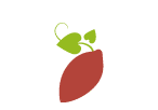 Page légume patate douce bio