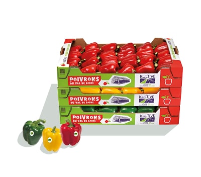 Cagettes en cartons, contenant des poivrons rouges. Trois poivrons vert, jaune et rouge au premier plan.