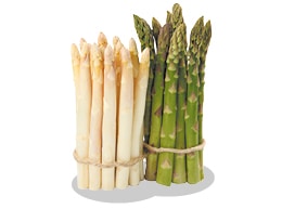 Deux bottes d’asperge blanche et verte Kultive