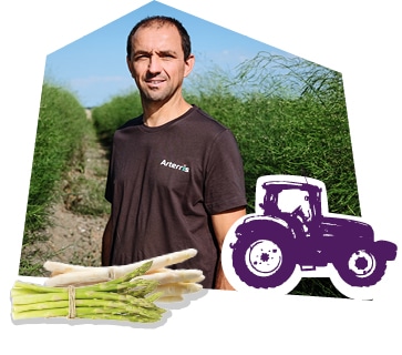 Portrait d’un producteur d’asperge dans son champ