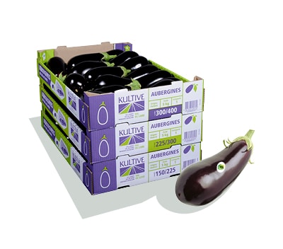 Cagettes en carton contenant des aubergines Kultive