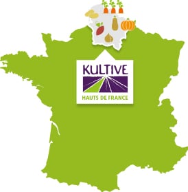 Carte de France présentant la culture des légumes des Hauts de France : carotte, patate douce, condiment, courge, pomme de terre.