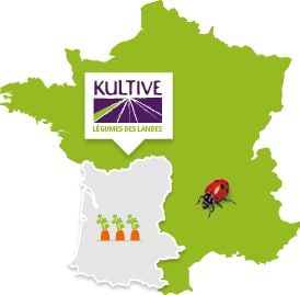 Carte de France présentant la culture des carottes dans les Landes.