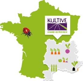 Carte de France présentant la culture des légumes de Provence : carotte, navet, radis noir, mélange de légumes, apserges.