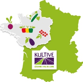 Carte de France présentant la culture des légumes du Val de Loire : betterave, poivron, aubergine, tomate et concombre.