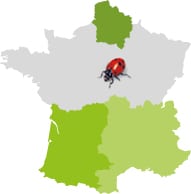 Carte de France situant les zones de production Provence, Landes, et Hauts-de-France