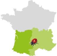 Carte de France situant les zones de production Occitanie, Provence et Landes