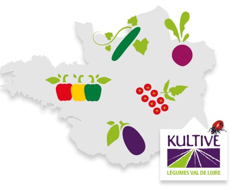Carte du terroir de Val de Loire, accompagné des pictos concombre, tomate-cerise, aubergine, poivron, betterave et du logo Kultive - Légumes Val de Loire