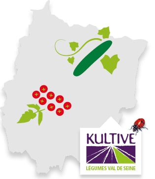 Carte du terroir de Val de Seine, accompagné des pictos concombre et tomate-cerise et du logo Kultive - Légumes Val de Seine