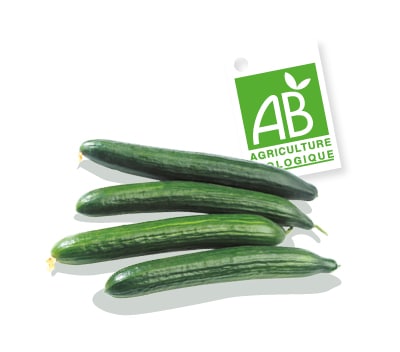 Concombres bio, accompagnés du logo du label Agriculture Biologique.