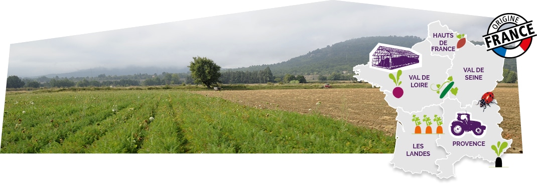 Paysage de Provence représentant l’esprit de cultiver la proximité, accompagné d’une carte de France des terroirs Kultive et du logo du label origine France, superposé sur l’image.