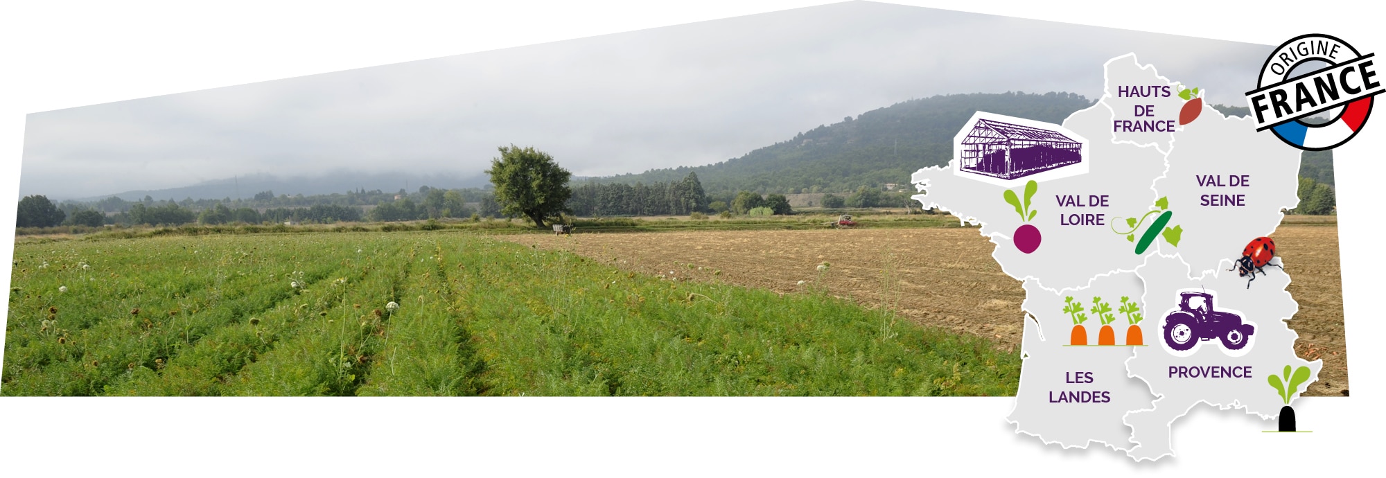 Paysage de Provence représentant l’esprit de cultiver la proximité, accompagné d’une carte de France des terroirs Kultive et du logo du label origine France, superposé sur l’image.