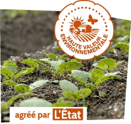 Pousses plantées en plein champ, accompagnées du logo du label Haute Valeur Environnementale, agréé par l’état.