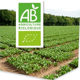 Champs de culture bio, accompagnés du logo du label Agriculture Biologique