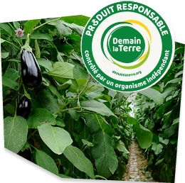 Plans d’aubergines dans leur serre, accompagnés du logo du label Demain la Terre