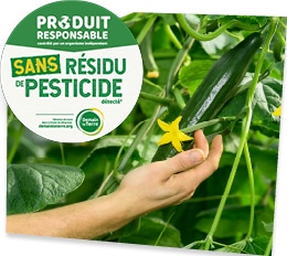Plans de concombre dans leur serre, accompagnés du logo du label Zéro Résidu de Pesticide