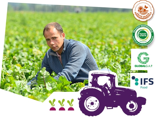 Portrait d’un producteur de betterave du Val de Loire dans son champ, accompagné des logos des labels Demain la Terre, HVE, Global G.A.P et IFS Food superposés sur l’image.