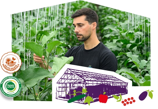 Portrait d’un producteur du Val de Loire dans sa serre, accompagné des logos des labels Demain la Terre et HVE superposés sur l’image.