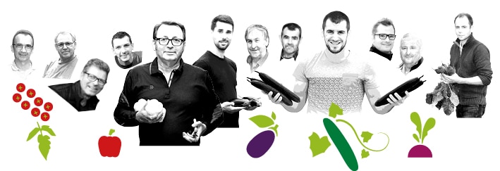 Portraits des producteurs Kultive du Val de Loire, avec des dessins de leur production de concombre, tomate cerise, betterave, poivron et aubergine.