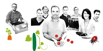 Portraits des producteurs Kultive du Val de Seine, avec des dessins de leur production de concombre et tomate cerise.