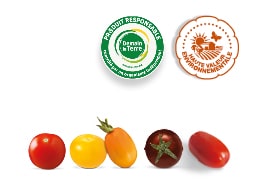 Tomates-cerises apéros formes et couleurs différentes : rouge, jaune, orange, rondes et allongées ; accompagnés des logos des labels HVE et Demain La Terre.