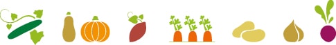 Dessin de tous les légumes bio Kultive : concombre, courge, patate douce, carotte, pomme de terre, condiment, betterave