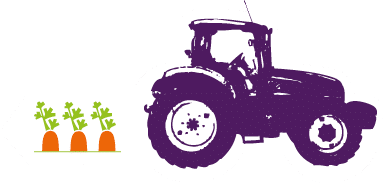 Dessin du tracteur et des carottes de plein champ Kultive