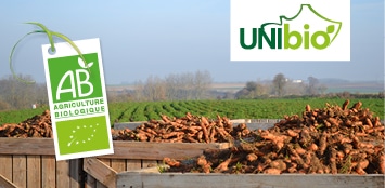 Photo d’un champ de carottes Unibio Terraveg, membre de Kultive, accompagné d’une étiquette avec le logo du label Agriculture Biologique